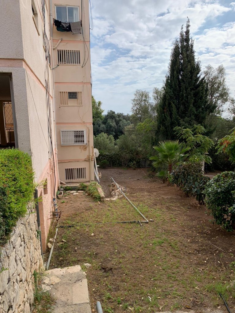 חיפה - פינוי בינוי המלך שאול נווה דוד