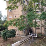 מחירי הדירות עולים