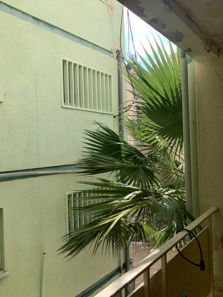 מה יקרה למחירי הנדל"ן ב-2023?