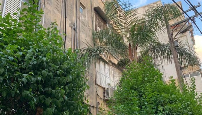 למה לקנות דירת השקעה בישראל?