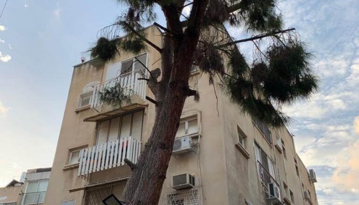 למה מחירי הדירות עולים בישראל?