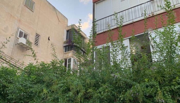 WhatsApp Image 2020-10-15 at 5.47.38 PM (2)