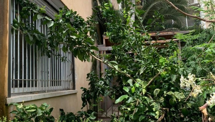 איך למצוא דירה זולה?