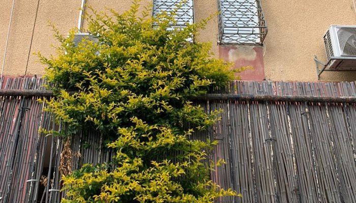 השקעות נדל"ן