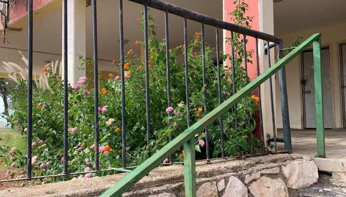 האם כדאי לקנות דירה להשקעה או איגרות חוב צמודות למחירי הדירות