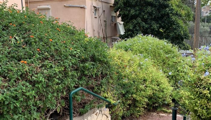 האם כדאי לקנות דירה להשקעה ב-2023