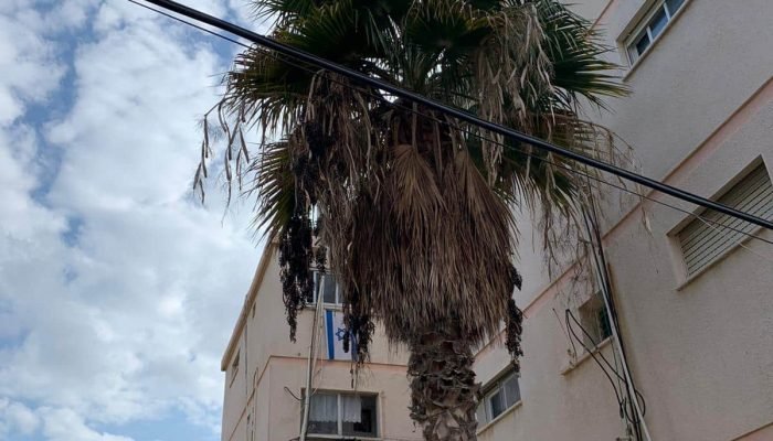 קורס נדל"ן 2023