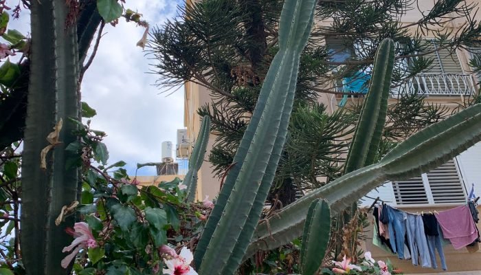 האם כדאי לקנות דירה בשנת 2023?