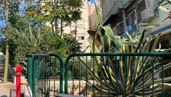 מה יקרה למחירי הדירות ב 2023