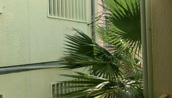 מה יקרה למחירי הנדל"ן ב-2023?