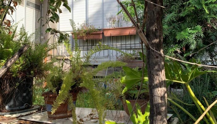 דירה להשקעה פברואר 21 (21)