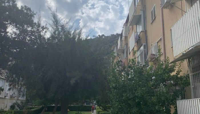 דירות להשקעה (1)