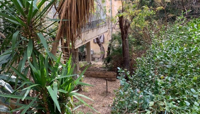 השקעות בנדלן המרכז לליווי (15)