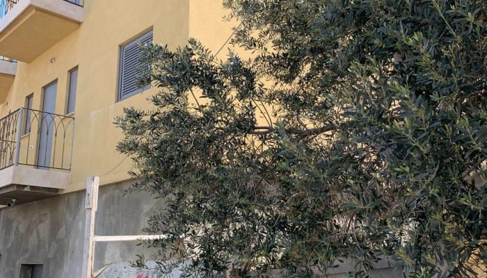 האם כדאי לקנות דירה בשכונת שפירא בתל אביב?