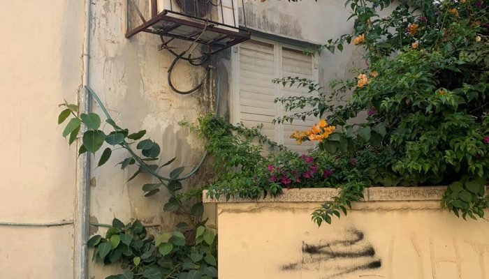 האם מחירי הדירות ירדו