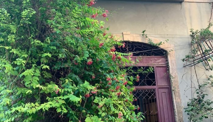 נדל"ן או מניות