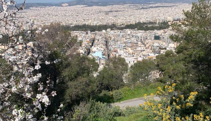 למה מחירי הדירות יעלו ב 2022-2023